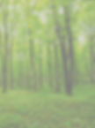 ElevateHealthhome_edited.jpg